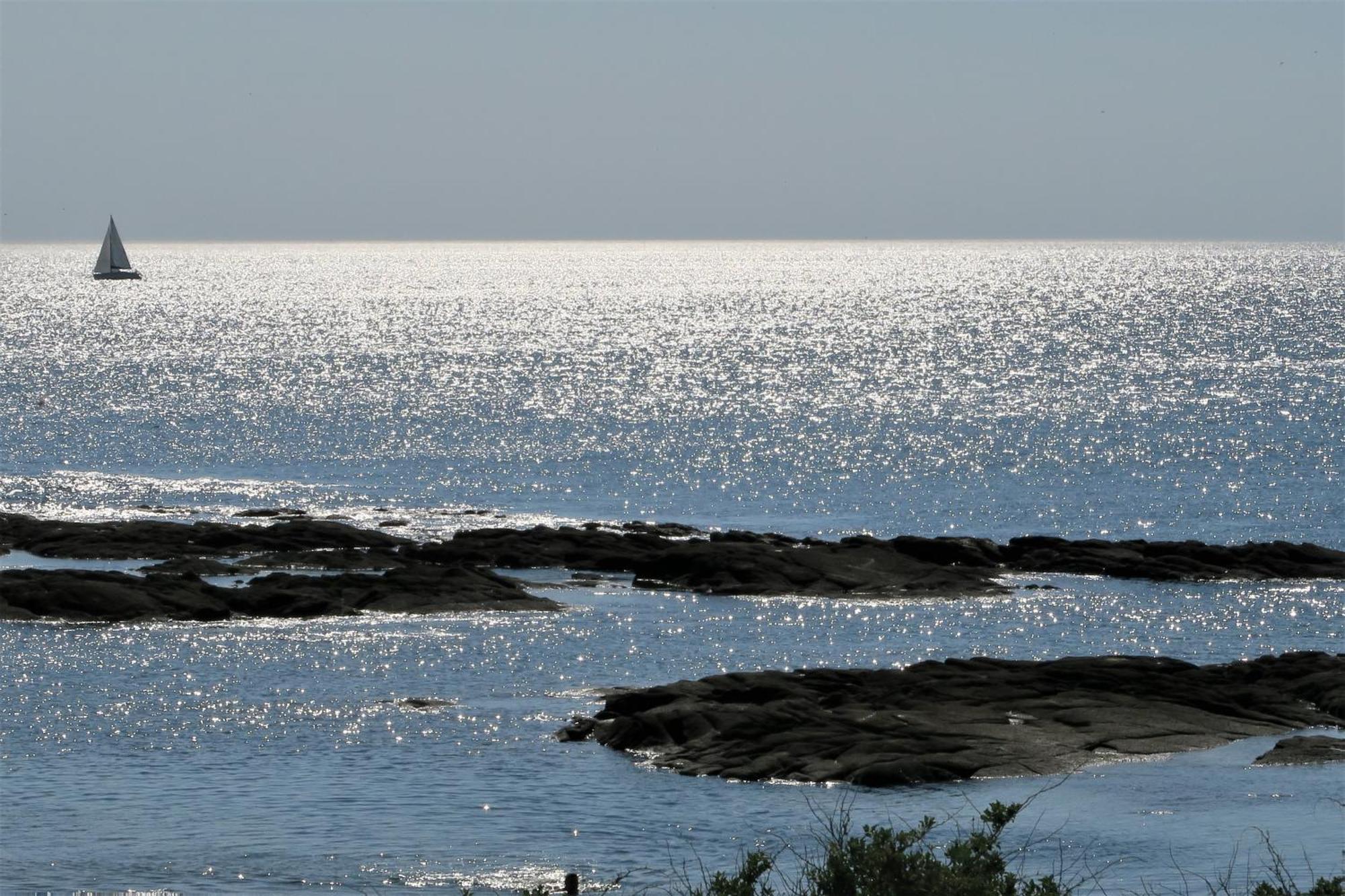 Vitamin Sea La Turballe Exterior foto
